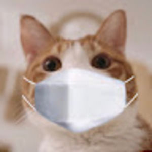 Meet your Posher, Jaclyn